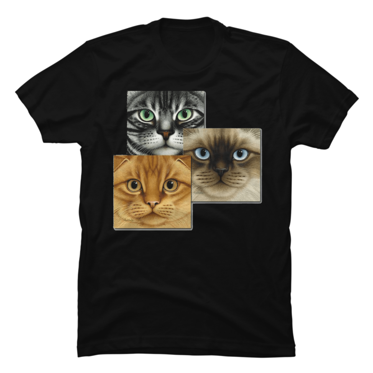 tabby cat shirt